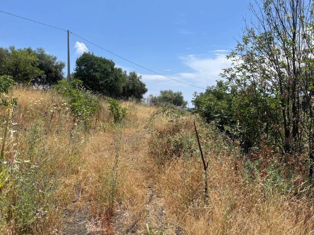 Terreno in vendita a Belpasso, Sicilia