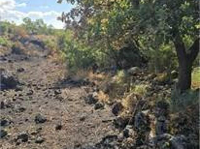 Terreno in vendita a Belpasso, Sicilia