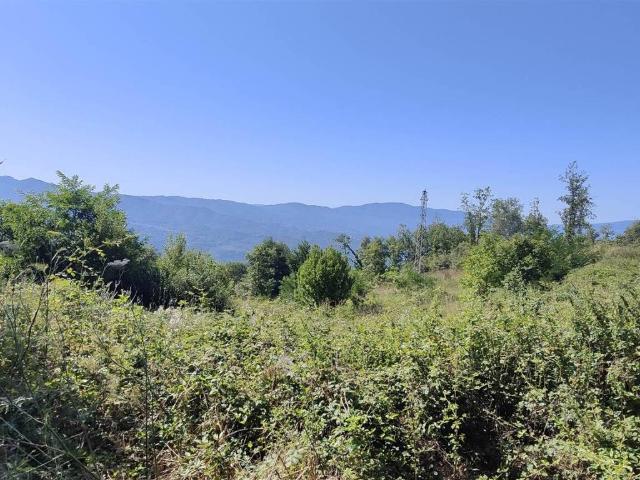 Terreno in vendita a Calabria, Cosenza
