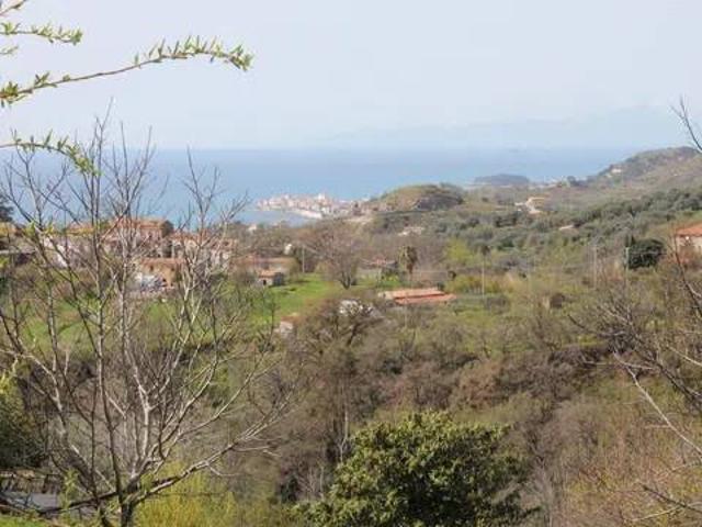 Terreno in vendita a Calabria, Cosenza