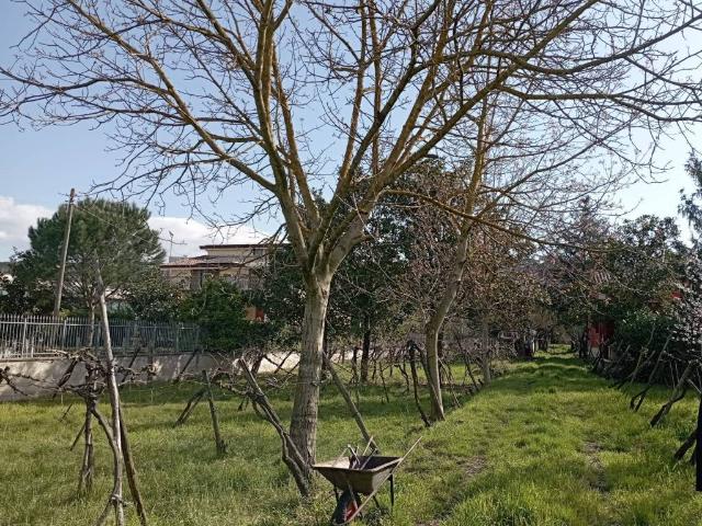 Terreno in vendita a Piano Morra, Benevento