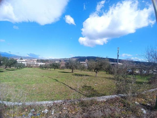 Terreno in vendita a Contrada Olivola, Benevento