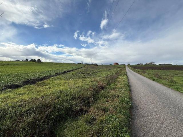 Terreno in vendita a Pietrelcina, Campania