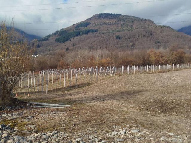 Terreno in vendita a Berbenno Di Valtellina, Lombardia