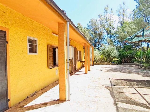 Terreno in vendita a Berchidda, Sardigna/Sardegna