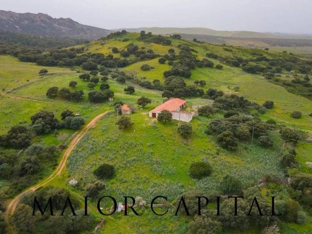 Terreno in vendita a Berchidda, Sardigna/Sardegna