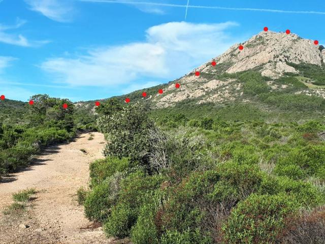 Terreno in vendita a Berchidda, Sardigna/Sardegna