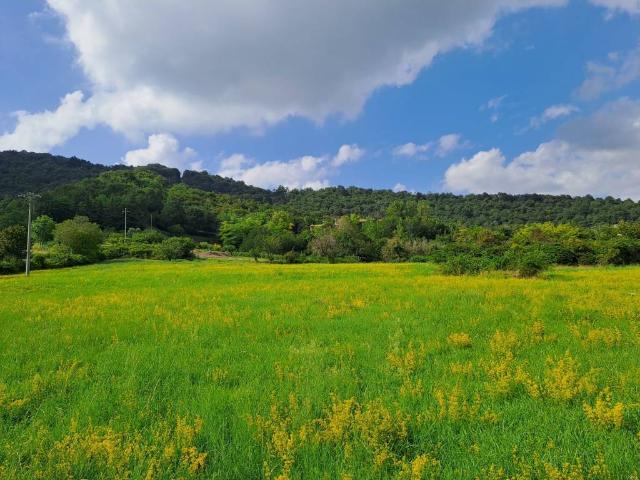 Terreno in vendita a Bergamo