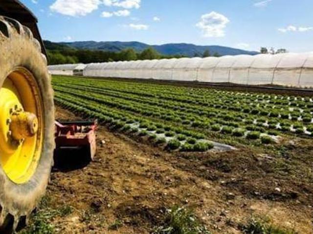 Terreno in vendita a Carnovali, Bergamo
