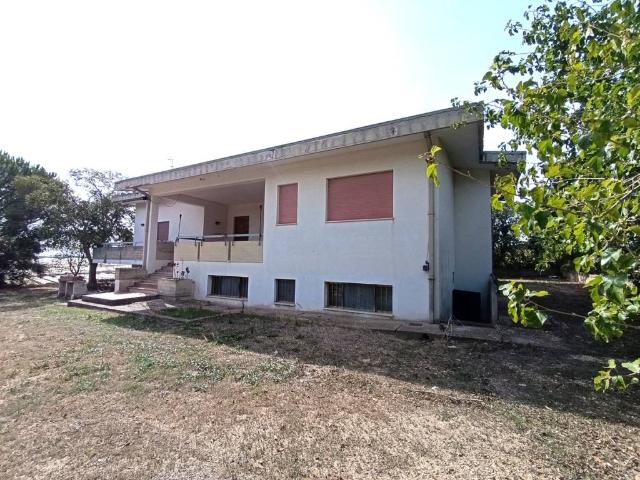 Terreno in vendita a Bernalda, Basilicata