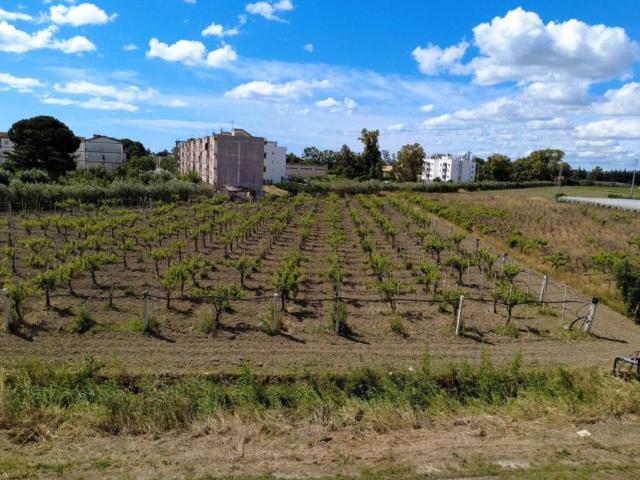 Terreno in vendita a Bernalda, Basilicata