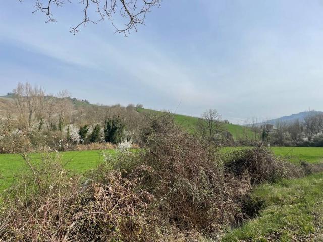 Terreno in vendita a Unione di Comuni della Romagna Forlivese, Bertinoro