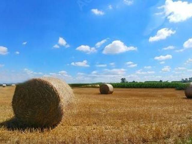 Terreno in vendita a Unione di Comuni della Romagna Forlivese, Bertinoro