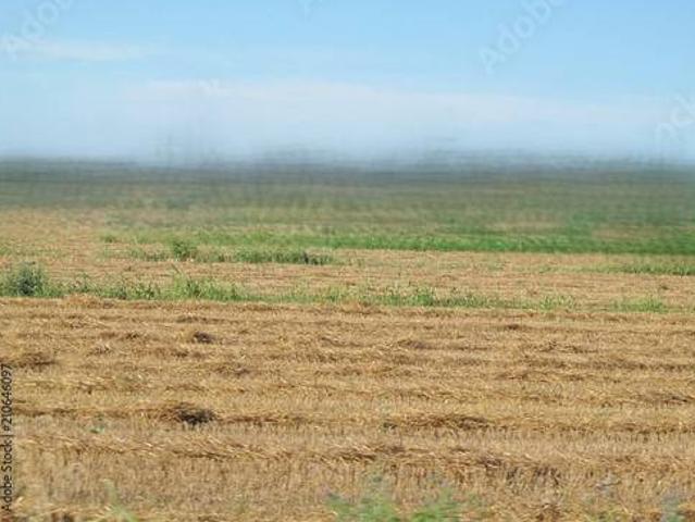 Terreno in vendita a Unione di Comuni della Romagna Forlivese, Bertinoro