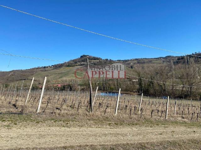 Terreno in vendita a Unione di Comuni della Romagna Forlivese, Bertinoro