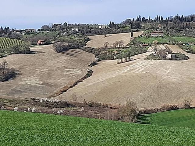 Terreno in vendita a Unione di Comuni della Romagna Forlivese, Bertinoro