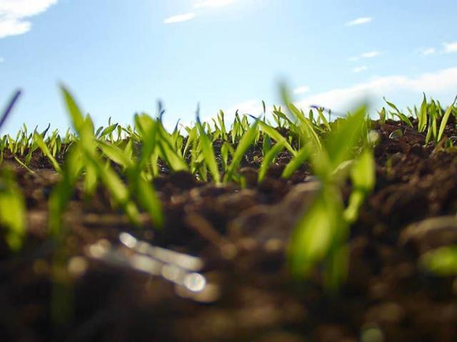 Terreno in vendita a Montesiro, Besana In Brianza