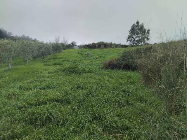 Terreno in vendita a Besana In Brianza, Lombardia