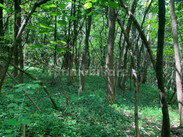 Terreno in vendita a Besana In Brianza, Lombardia
