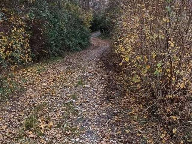 Terreno in vendita a Bogno, Besozzo