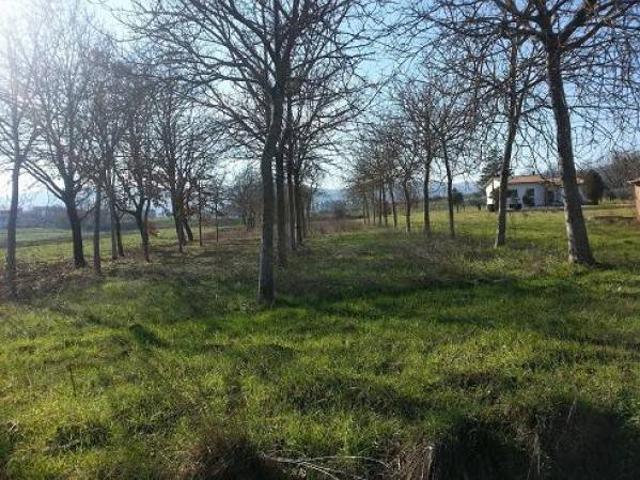 Terreno in vendita a Bettona, Umbria