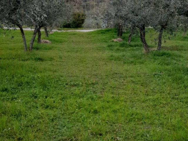 Terreno in vendita a Bevagna, Umbria