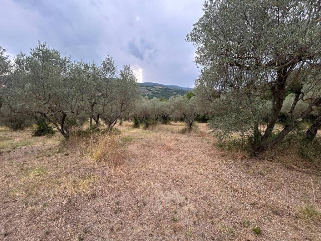 Terreno in vendita a Bevagna, Umbria