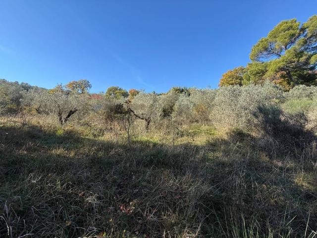Terreno in vendita a Bevagna, Umbria