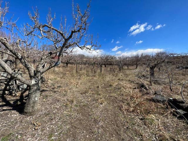 Terreno in vendita a Biancavilla, Sicilia