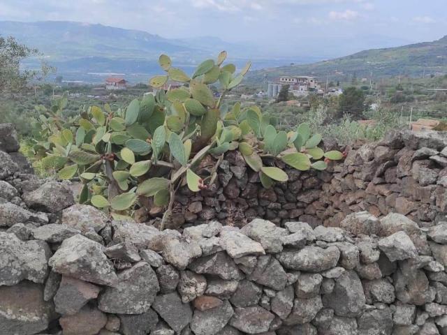Terreno in vendita a Biancavilla, Catania