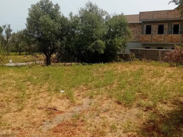 Terreno in vendita a Calabria, Reggio Calabria