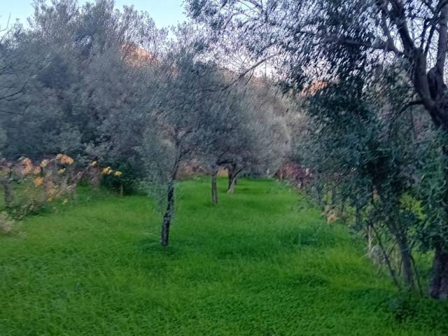 Terreno in vendita a Calabria, Reggio Calabria
