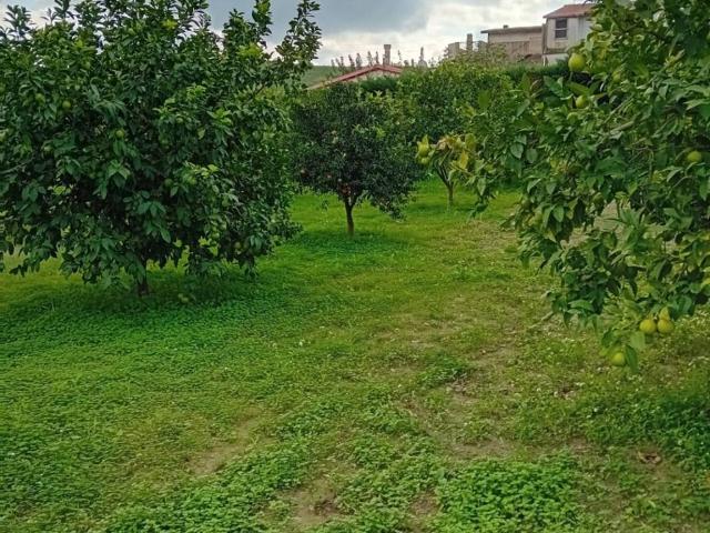 Terreno in vendita a Calabria, Reggio Calabria