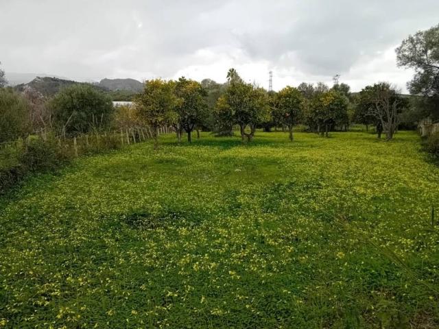 Terreno in vendita a Calabria, Reggio Calabria