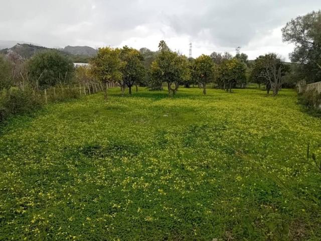 Terreno in vendita a Calabria, Reggio Calabria