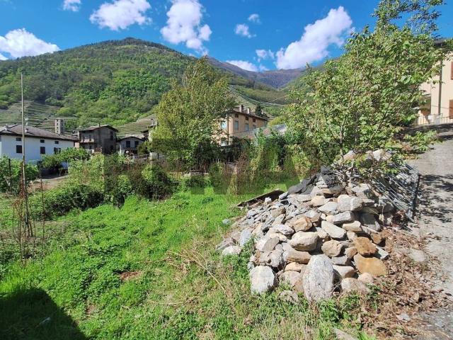 Terreno in vendita a Bianzone, Sondrio