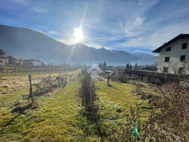Terreno in vendita a Bianzone, Sondrio