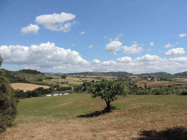 Terreno in vendita a Bibbona, Toscana
