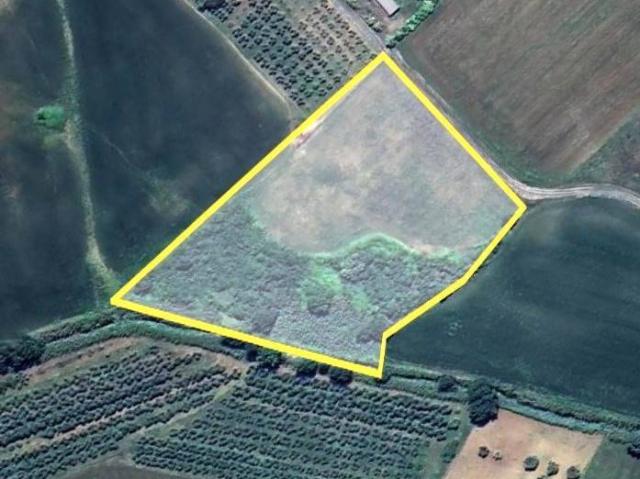 Terreno in vendita a Bibbona, Toscana