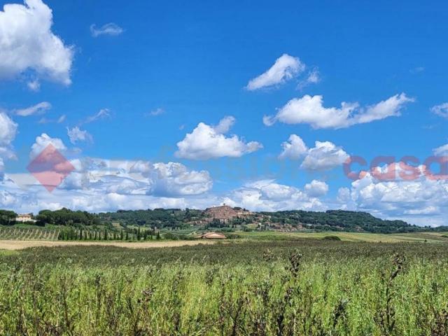 Terreno in vendita a Bibbona, Toscana