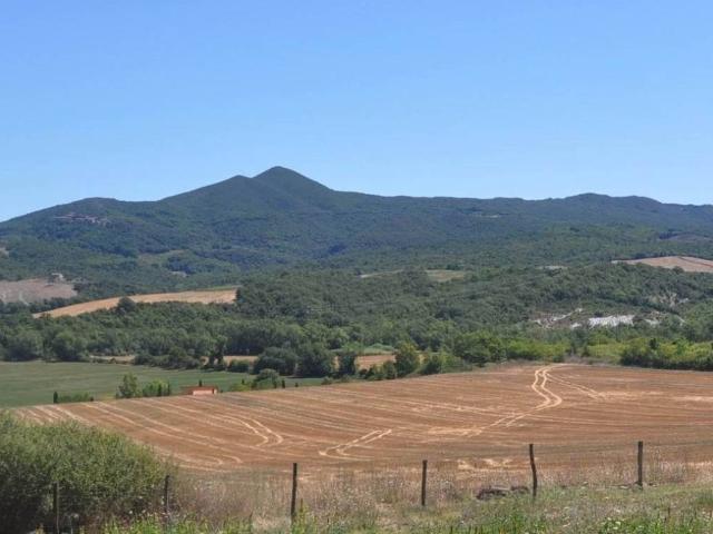 Terreno in vendita a Bibbona, Toscana
