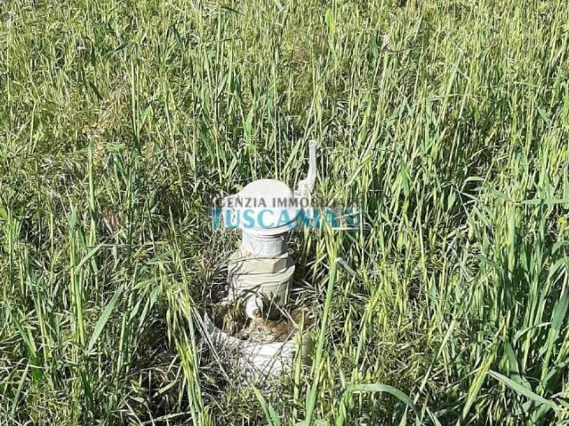 Terreno in vendita a Bibbona, Toscana
