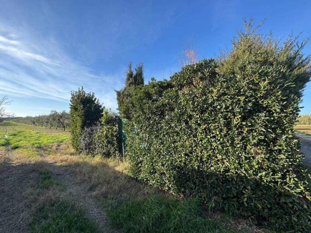 Terreno in vendita a Bibbona, Toscana