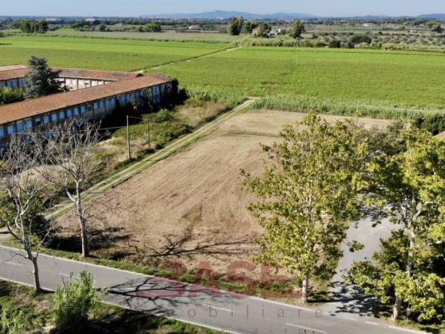 Terreno in vendita a Bibbona, Toscana