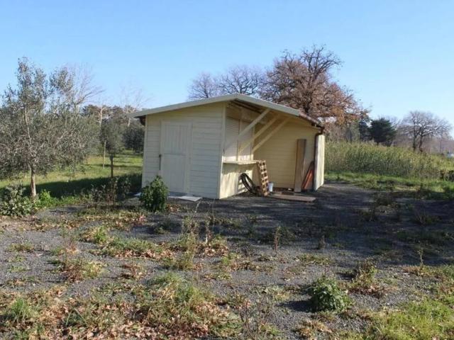 Terreno in vendita a Bibbona, Toscana