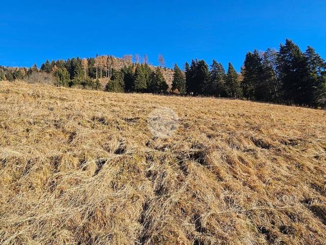 Terreno in vendita a Comunità montana della valle Camonica, Bienno