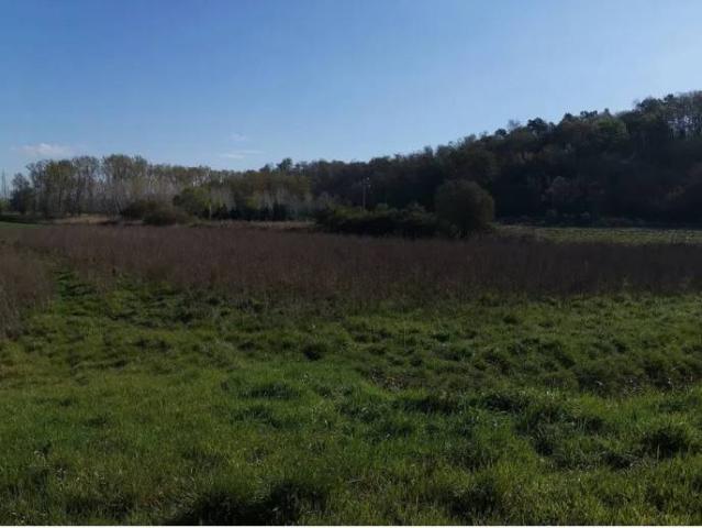 Terreno in vendita a Bientina, Toscana
