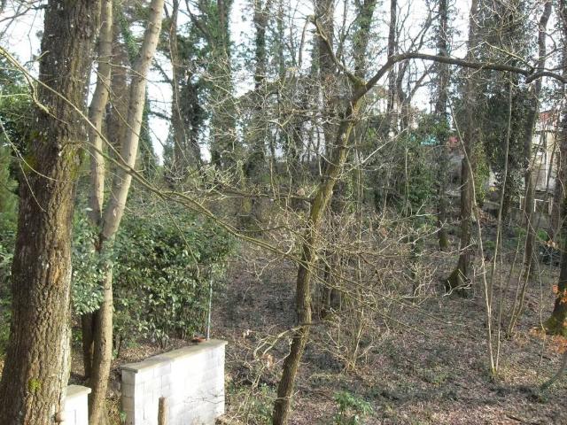 Terreno in vendita a Bientina, Toscana