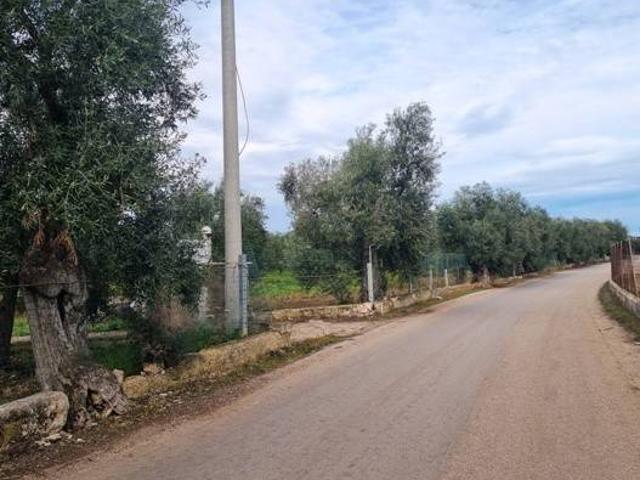 Terreno in vendita a Puglia, Barletta-andria-trani