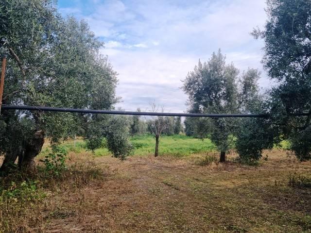 Terreno in vendita a Puglia, Barletta-andria-trani